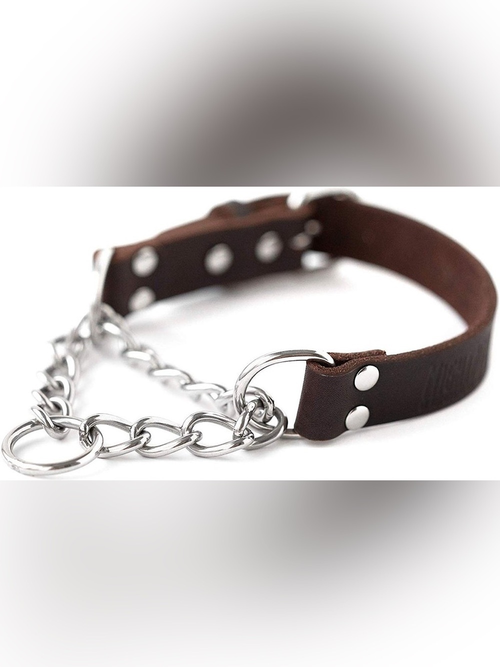 NWOT Mighty Paw Leather Martingale Dog Collar, Medium